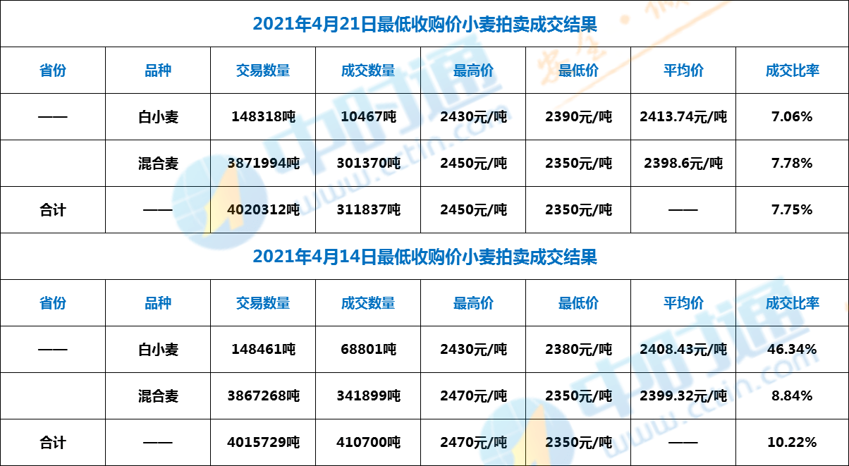 山东小麦最新价格,山东小麦最新价格动态分析