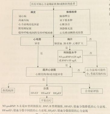 最新心衰指南,最新心衰指南，全面改善心衰患者生活质量的新方向