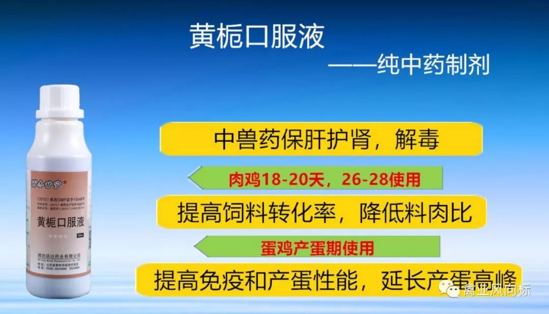 棉粕最新价格,棉粕最新价格动态分析