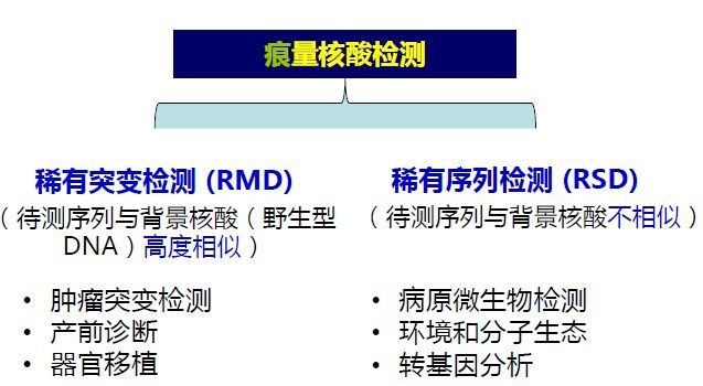 最新kms,最新KMS技术及其应用前景展望