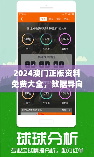 新澳今天最新资料2024,新澳今天最新资料2024概览