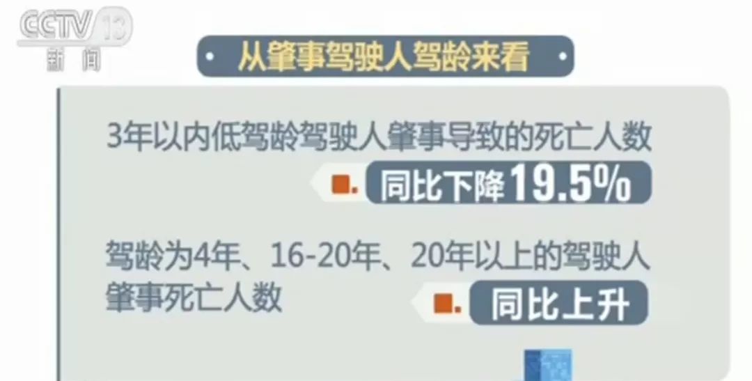 2024年12月21日 第12页