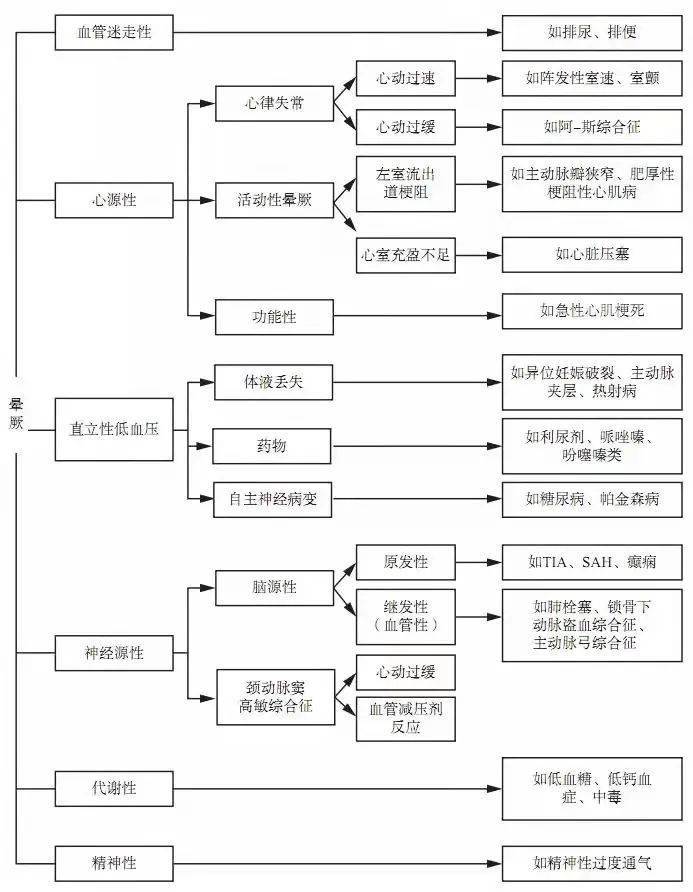 2024年12月22日 第53页