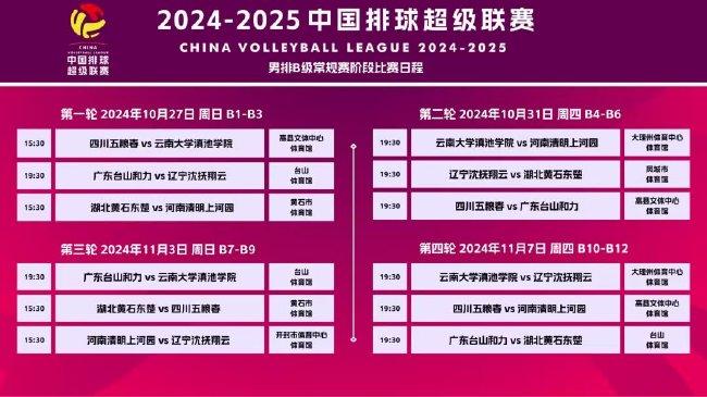 2024新澳资料免费精准资料,揭秘2024新澳资料免费精准资料，全方位解读与深度探讨