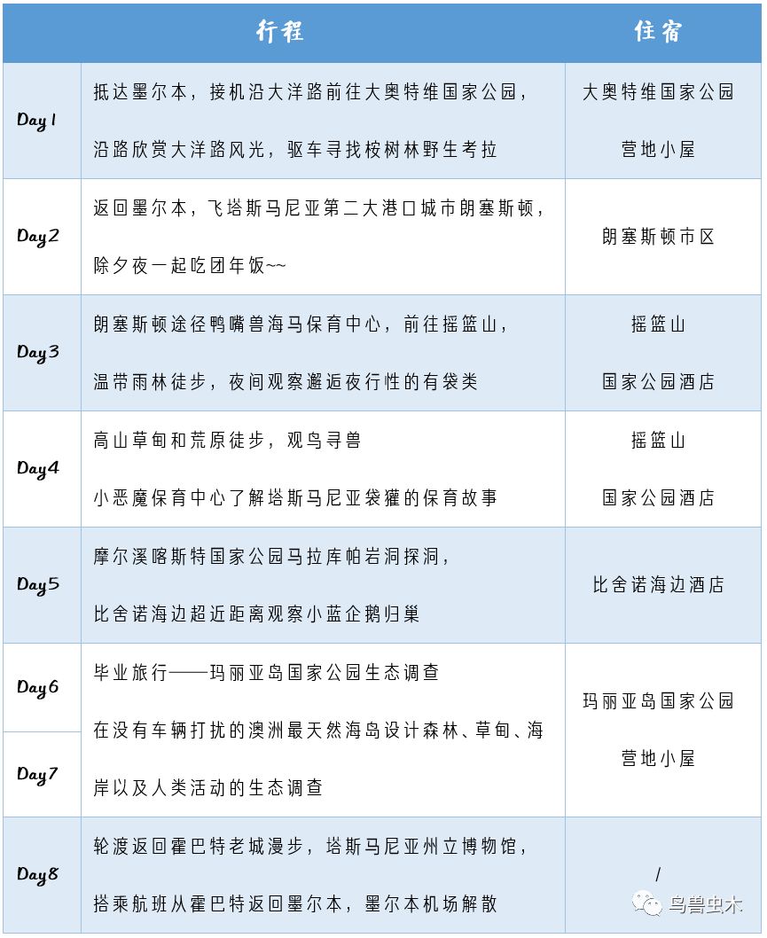 新澳开奖记录今天结果,新澳开奖记录今天结果，探索彩票背后的故事与魅力