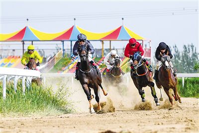 2024今晚香港开特马,今晚香港开特马，探寻赛马运动的魅力与未来展望