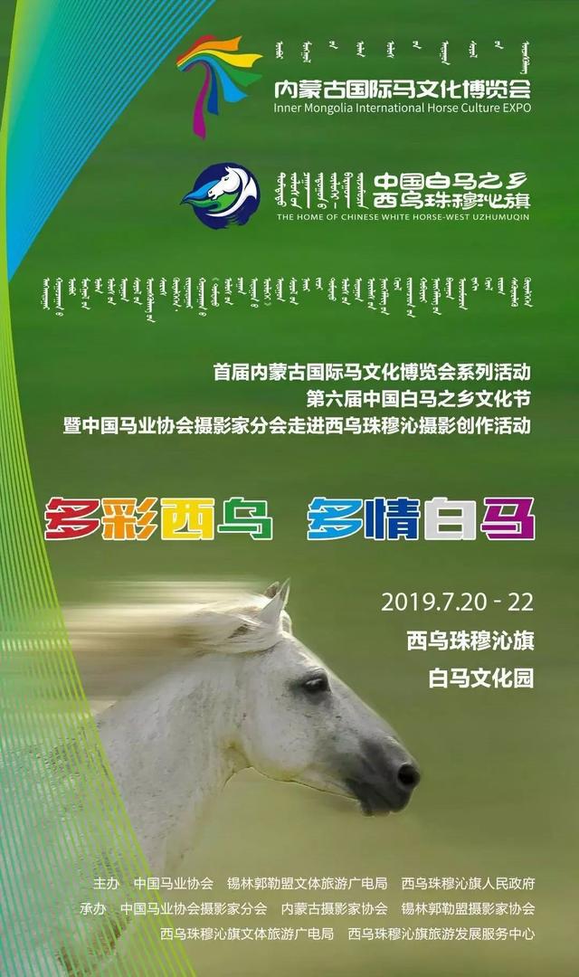 2024今晚香港开特马开什么六期,探索香港特马文化，六期特马展望与深度解析（以今晚香港特马开奖为视角）