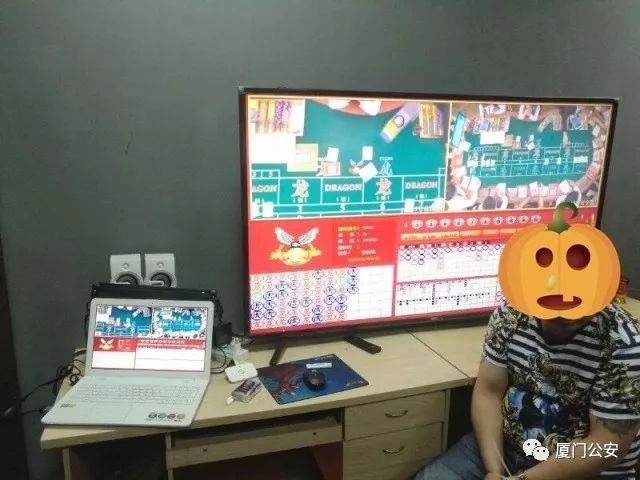 澳门一码一码100准确AO7版,澳门一码一码100准确AO7版，揭示违法犯罪的真面目