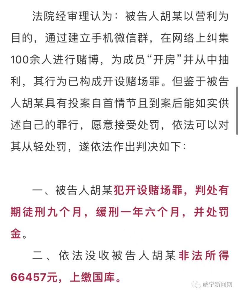 澳门一肖一码100‰,澳门一肖一码100%，揭示犯罪现象的警示文章