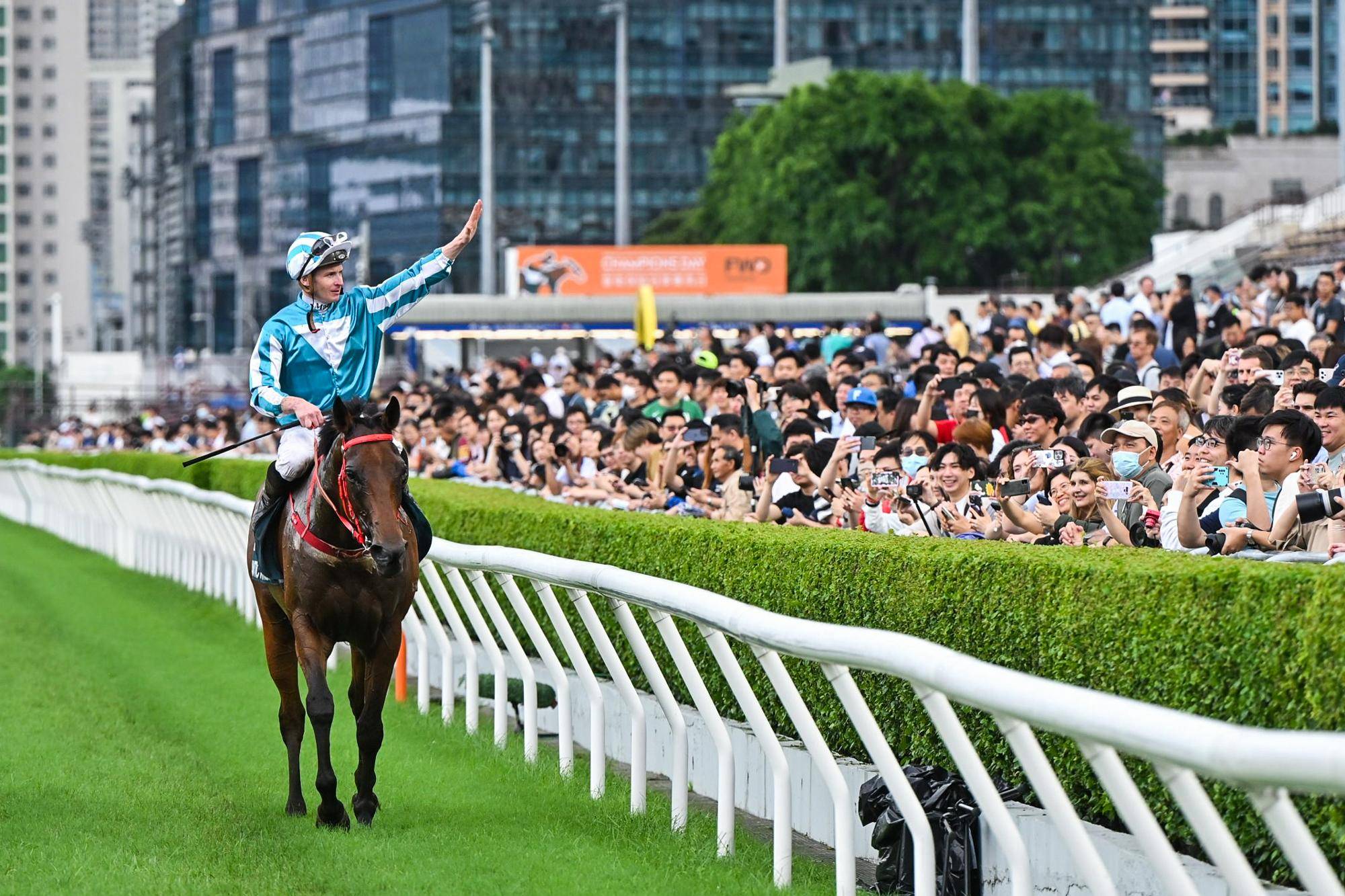 930香港马精准资料,香港赛马，探索精准资料的魅力与策略——以香港马930为例