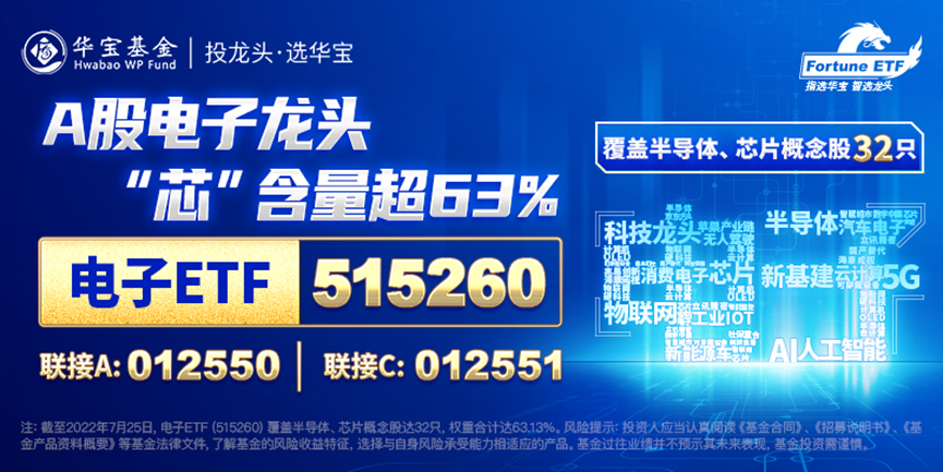 新澳2025正版资料免费公开新澳金牌解密,新澳2025正版资料免费公开，新澳金牌解密之道