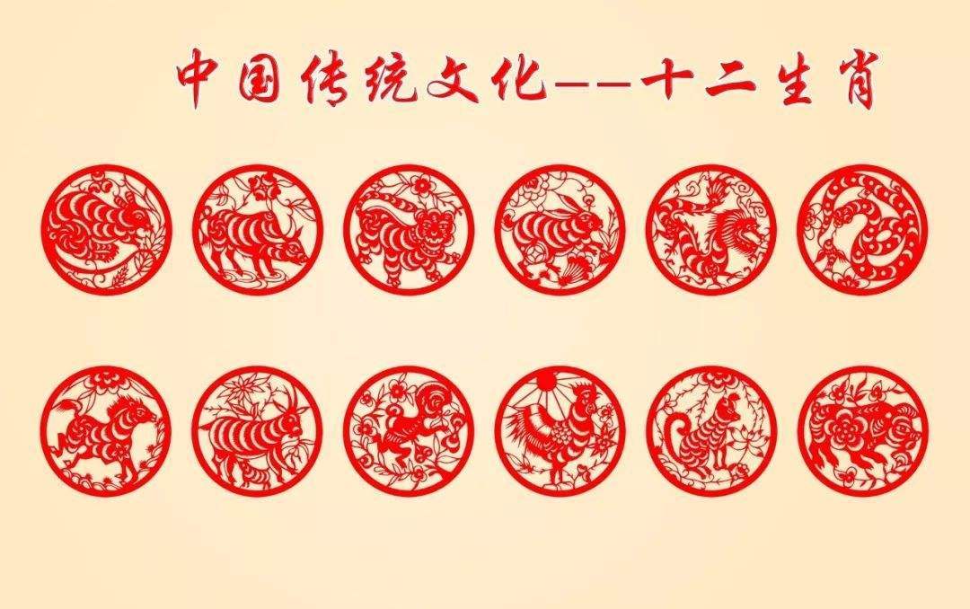 今晚9点30开什么生肖明,今晚9点30开什么生肖明，一场文化与科技的融合盛宴