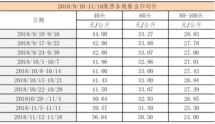 2025年2月16日 第15页