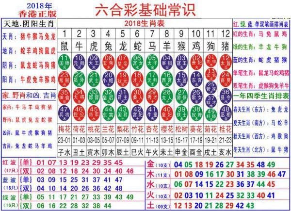 2025年2月18日 第56页