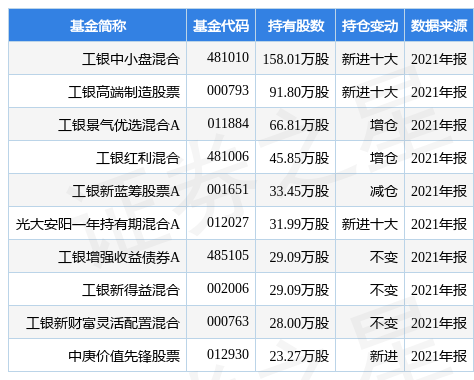 2025年2月19日 第8页